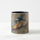 Recherche de kingfisher tasses Faune
