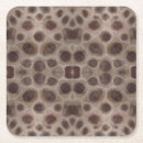 Zoek naar fossielen onderzetters Steen