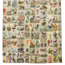 Recherche de histoire naturelle Faune