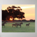 Recherche de horse art Poney