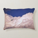 Recherche de transport coussins Avion