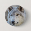 Recherche de de loup badges Nature