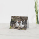 Recherche de birdies vœux cartes Toute personne