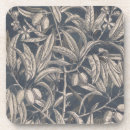 Recherche de plantes bar Botanique