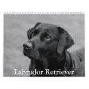 Recherche de labrador calendriers Dog
