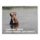 Zoek naar hippo kalenders Leeuw