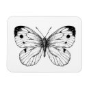 Recherche de papillon magnets Illustration