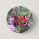 Recherche de paons badges Animaux