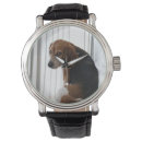 Recherche de beagle montres Chiens