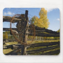 Recherche de barbelé tapis souris Américain