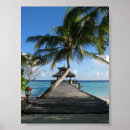 Zoek naar zee wereld posters Blauw