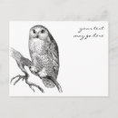 Recherche de hibou vintage cartes postales Dessin