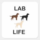 Recherche de silhouette labrador autocollants Extracteur