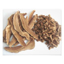 Recherche de champignon comestible posters Nature