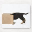 Recherche de cartoon tapis souris Animal