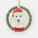 Recherche de caniche standard ornements Blanc
