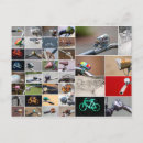 Recherche de cycle de vie cartes postales Pour tous