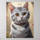 Recherche de chat gris posters Pour animaux