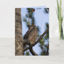 Zoek naar afstuderen uil posters Vogel