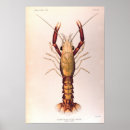 Recherche de scientific posters Biology