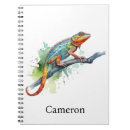Recherche de caméléon carnets Reptile