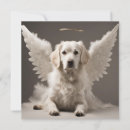 Recherche de ange chien vœux cartes Amoureux des chiens