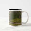 Recherche de moai tasses Chili