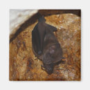 Recherche de doigts magnets Mignon