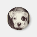 Recherche de coquelicots magnets Chien