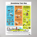 Recherche de comportement de chien posters Entraînement