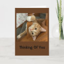 Recherche de chaton toutes vœux cartes Pour tous