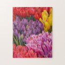 Recherche de tulipes de ressort Printemps