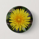 Recherche de pissenlit badges Fleurs