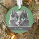 Recherche de chat gris ornements Nebelung