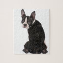 Zoek naar boston terrier puzzels Doodsbang
