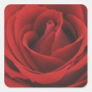 Recherche de affection autocollants Amour