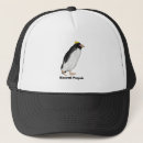 Recherche de pingouins casquettes Oiseau