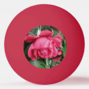 Recherche de roses balles ping pong Toute personne