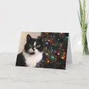 Zoek naar kattenkerstmis kaarten Zwart