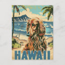 Recherche de afghans cartes postales Animal