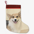 Recherche de corgi chaussette de noël Pembroke