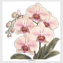 Recherche de orchid autocollants Pour tous