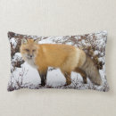 Zoek naar churchill kussens Danita delimont