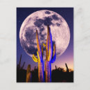Recherche de soleil lune cartes postales Saguaro