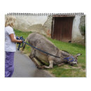 Zoek naar humor kalenders Boerderij