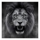 Recherche de jungle s posters Pour tous