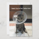 Zoek naar oliver kaarten Kat