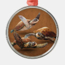 Zoek naar schild ornamenten Reptiel
