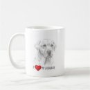 Recherche de labradors tasses Pour tous