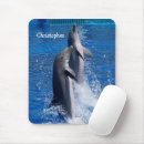 Recherche de dauphins tapis souris Faune